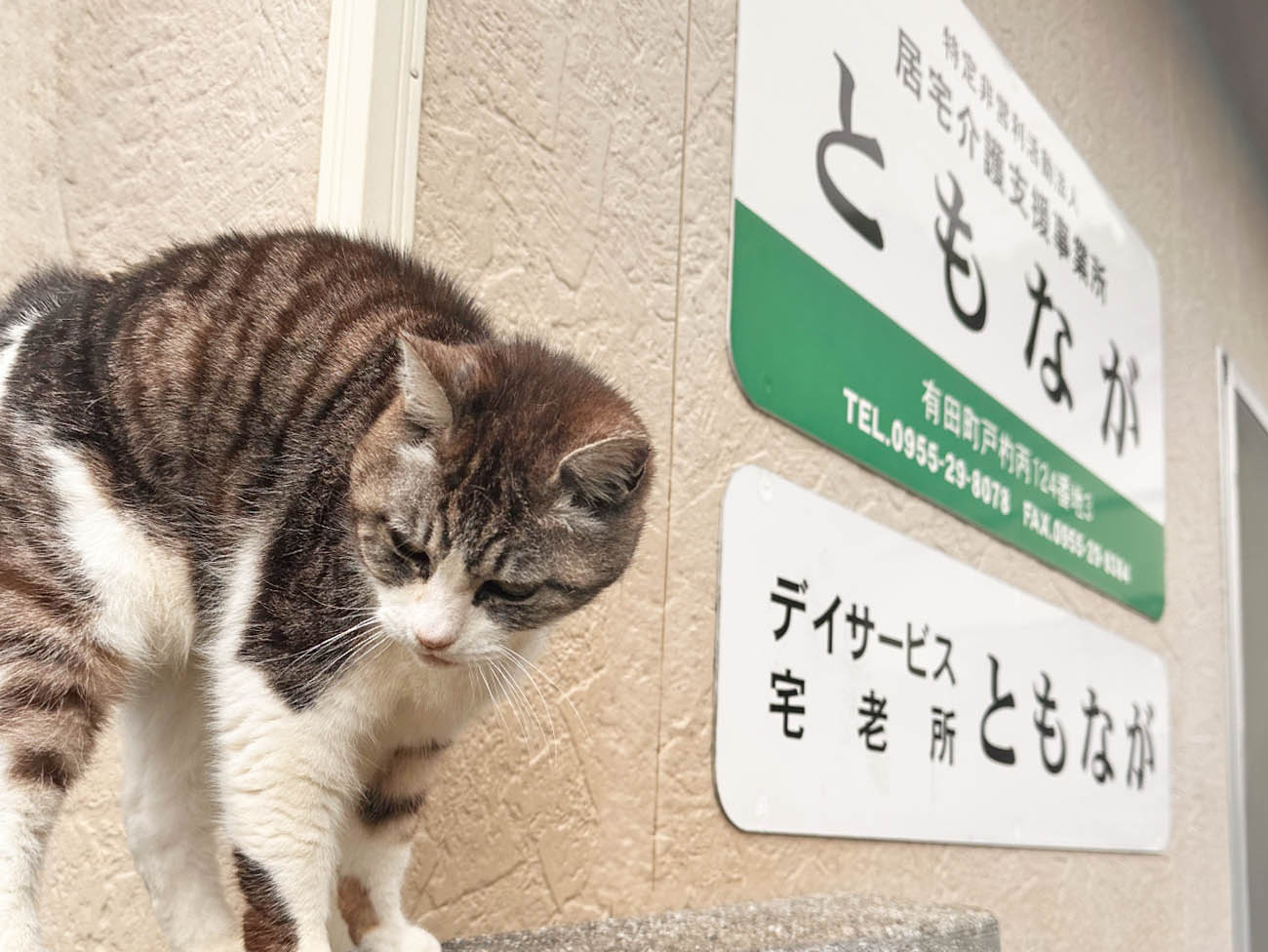 事業所概要画像